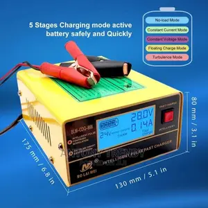 Bolaimei 12v/24v Autmatic Fast Pulse Intelligent Car Battery