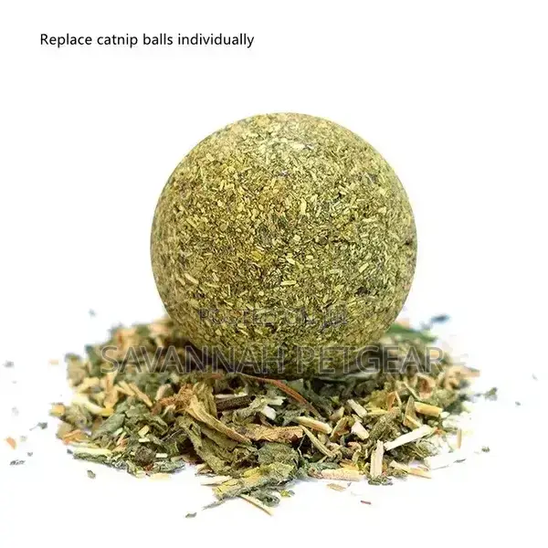 Catnip Cat Treat in Avocado Toy