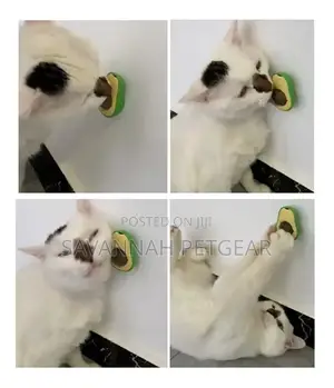 Catnip Cat Treat in Avocado Toy