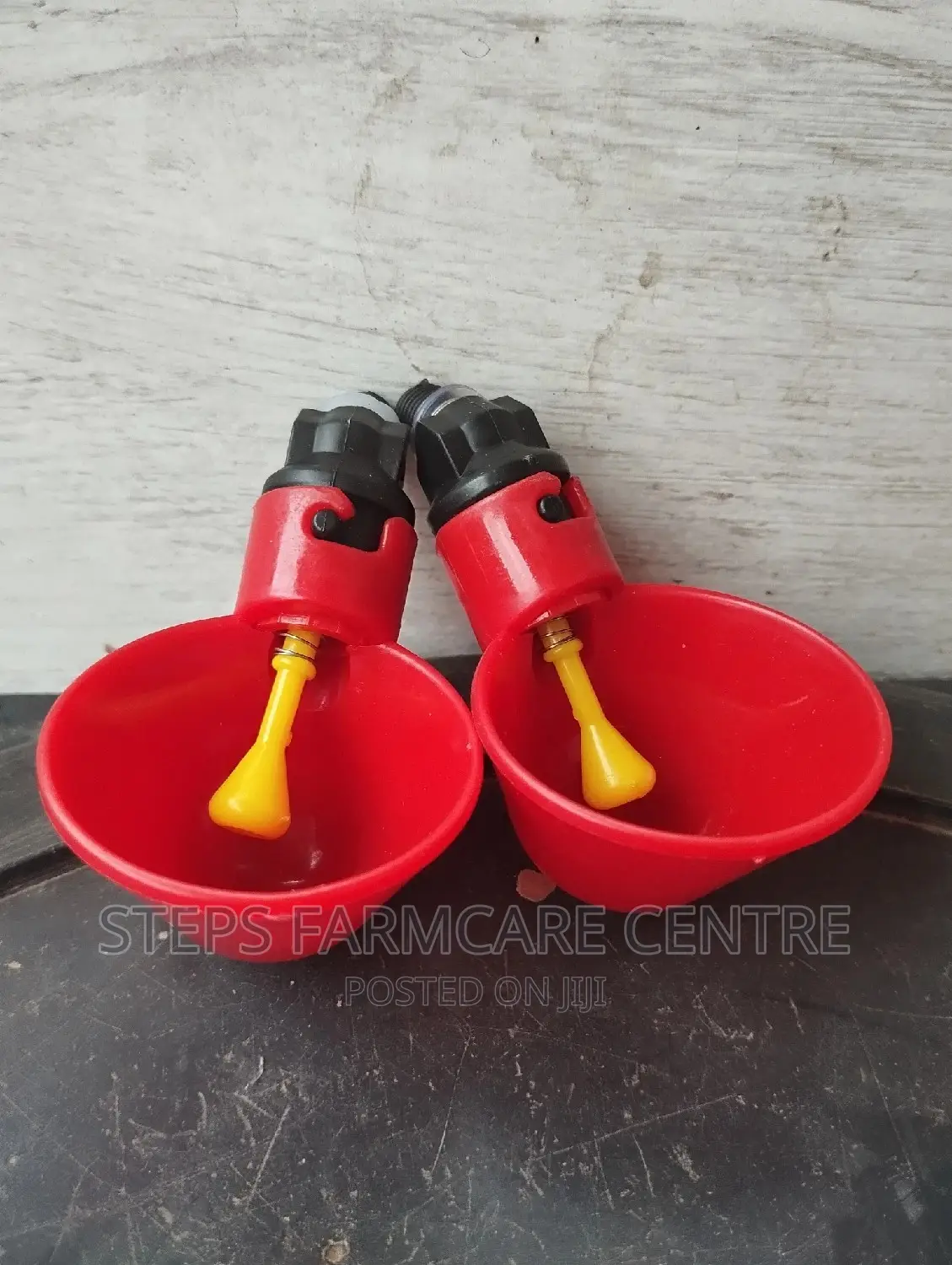 Automatic Chicken Nipp Drinkers on Buckets