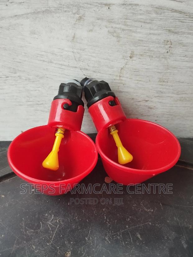 Automatic Chicken Nipp Drinkers on Buckets - main view