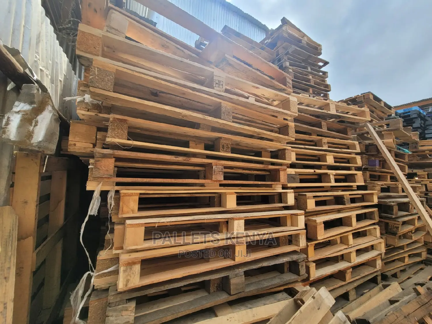 Wood Pallets- BIJ
