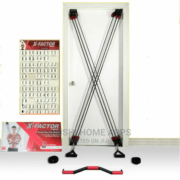 Weider X-Factor Door Gym