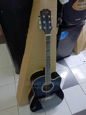 Acoustic Guitar E41
