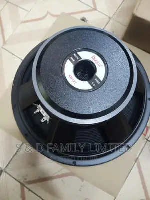 Derwel Midrange Naked Speaker