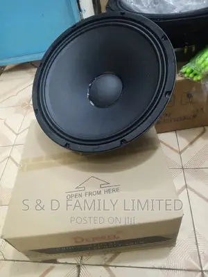 Derwel Midrange Naked Speaker