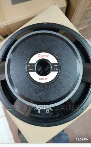 Derwel 12 Inch Naked Speakers Rh127