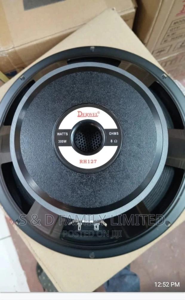 Derwel 12 Inch Naked Speakers Rh127 - main view