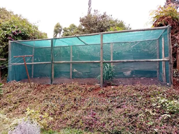 Green and Black Shadenets - thumbnail 3