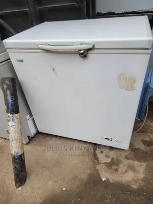 Deep Freezer 250l