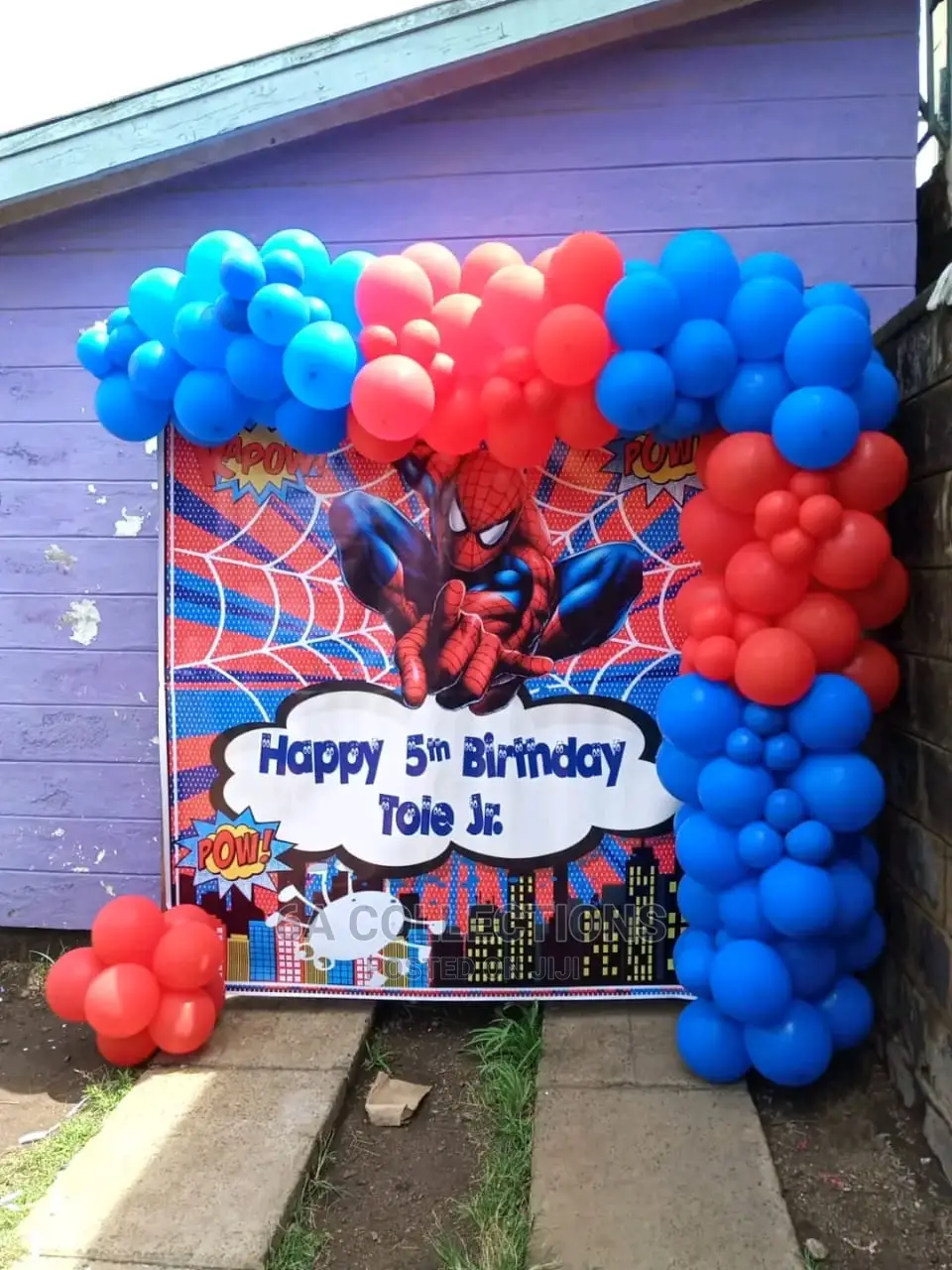 Birthday Party Decorations
