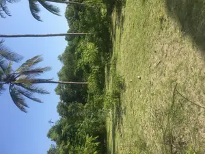 Beach Land for Sale Wasini Island