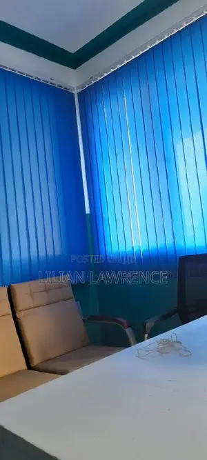 Office Curtains/Blinders