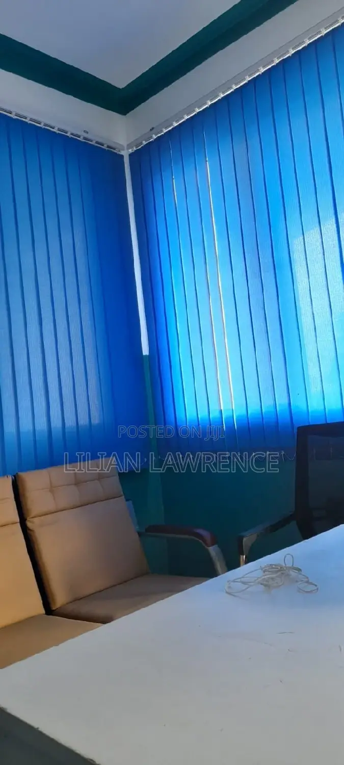 Office Curtains/Blinders