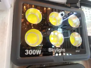 Led Security Floodlight 300w
