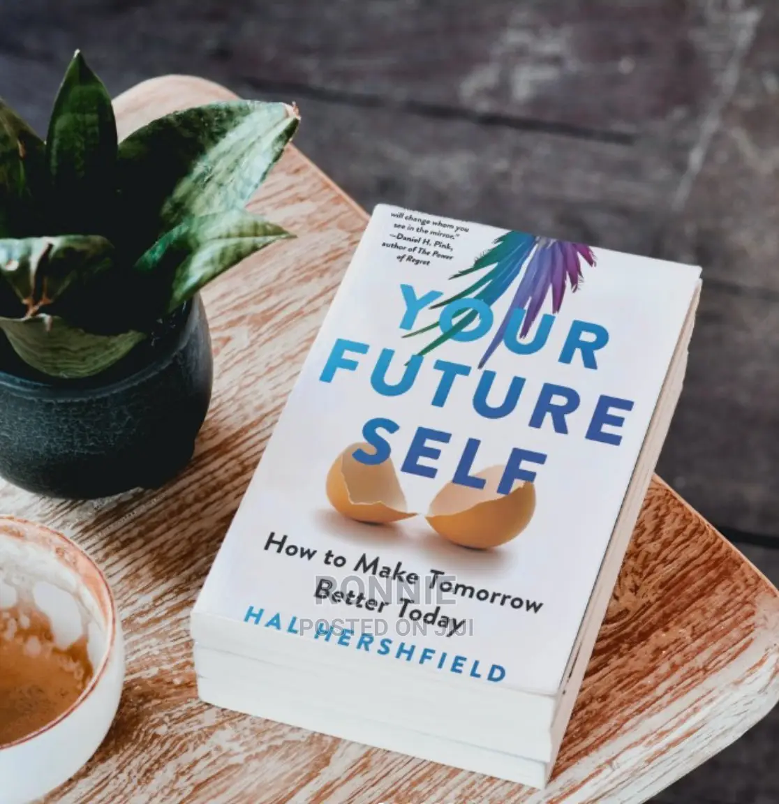 Your Future Self Book by Hal Hershfield
