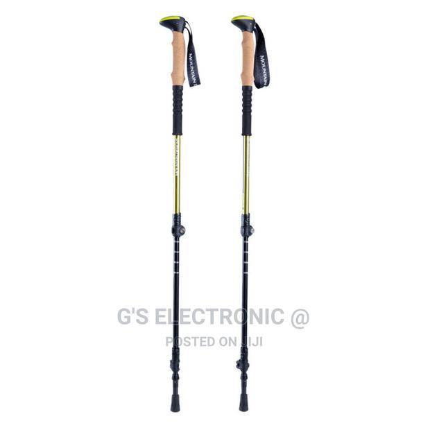 Heavy Duty Hiking Stick - main view