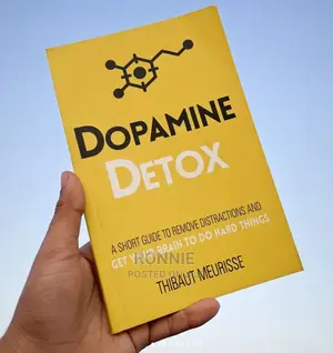 Dopamine Detox Book by Thibaut Meurisse