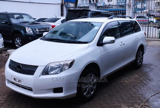 Toyota Corolla Fielder 2012 Pearl