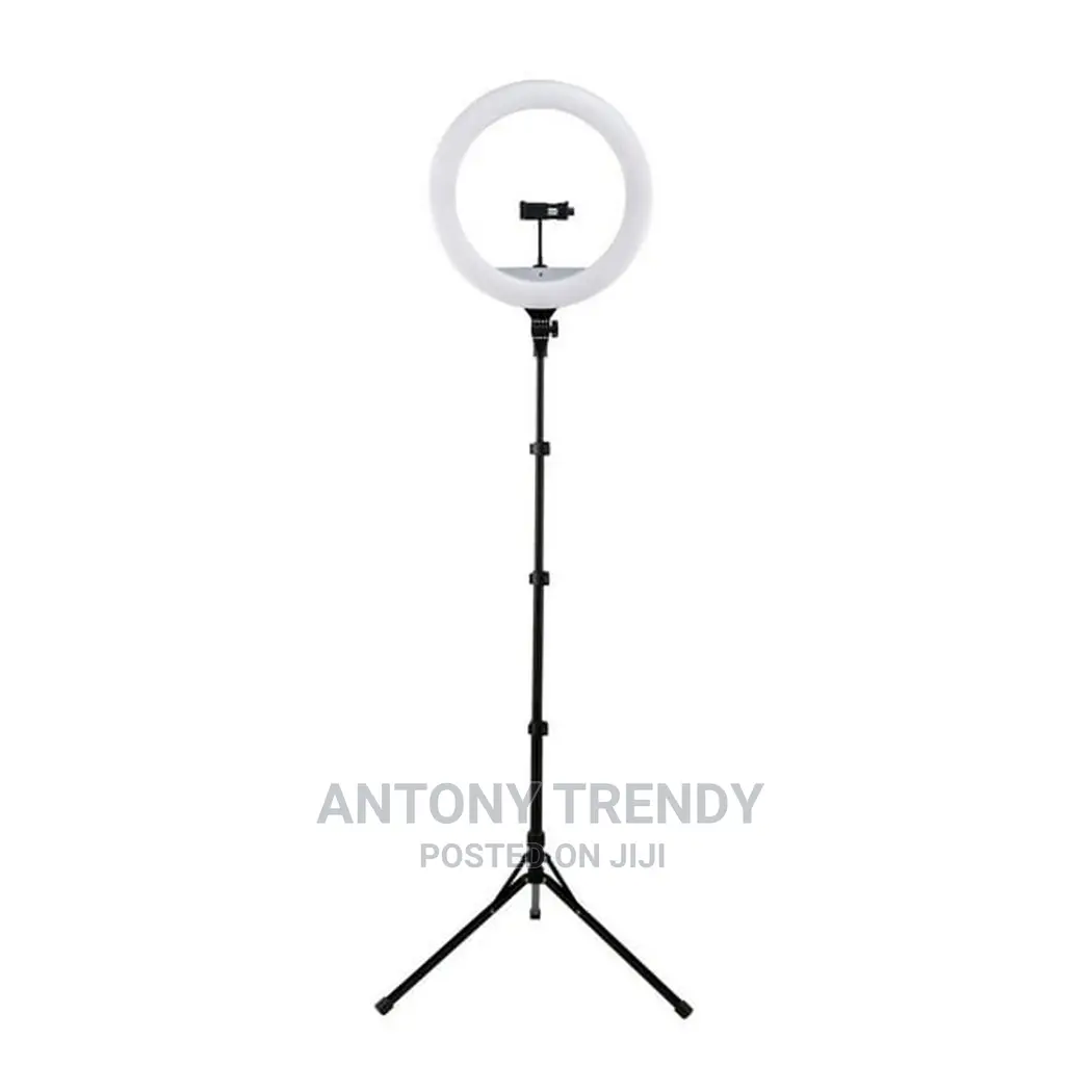 10-Inch Led Ring Light, Adjustable 63-Inch Tripod Stand