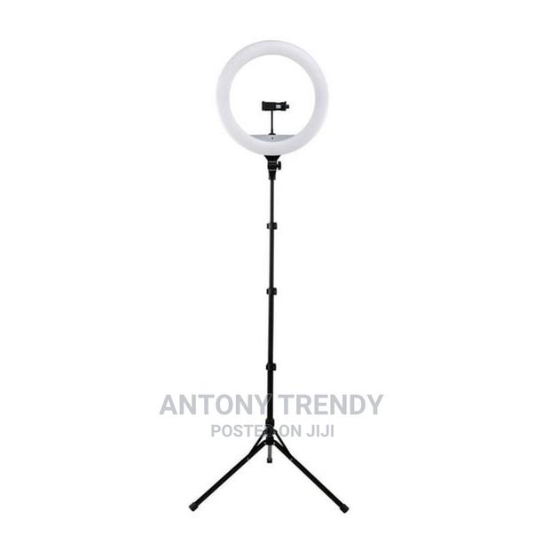 10-inch LED Ring Light, Adjustable 63-inch Tripod Stand - main view