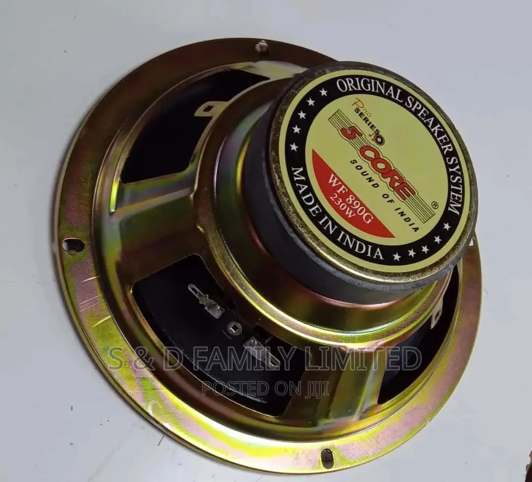 5 Core 6 Inch Naked Speaker