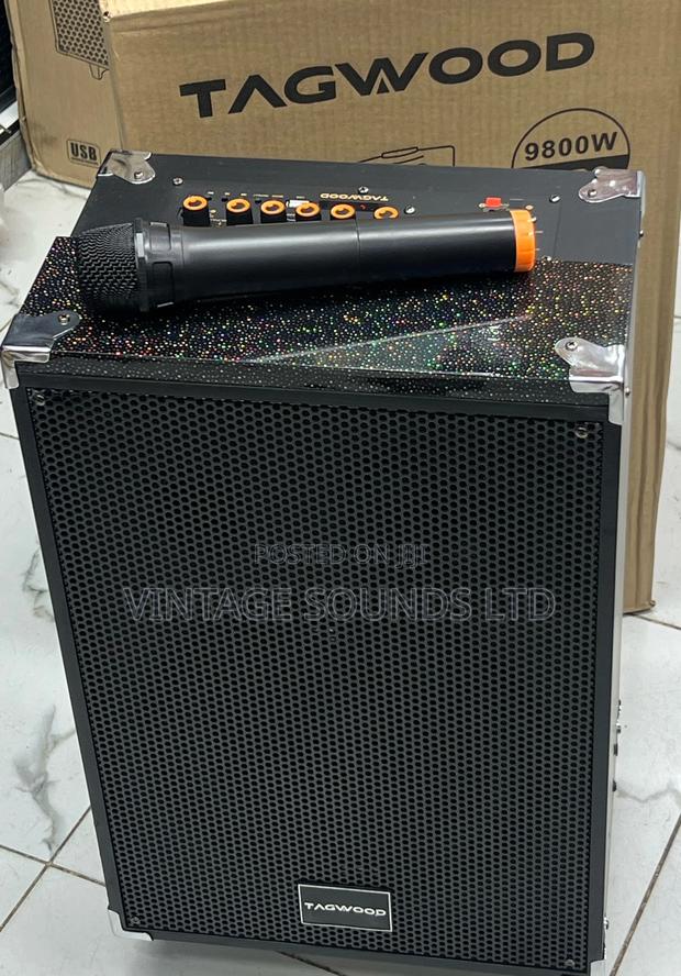 Tagwood Portable Powered Speakers 12 Inches