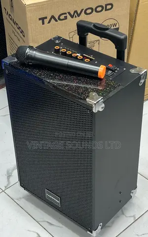 Tagwood LTS-10A Rechargeable Amplified Powered Speaker