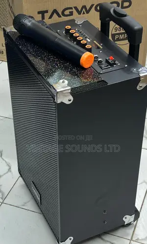 Tagwood LTS-10A Rechargeable Amplified Powered Speaker