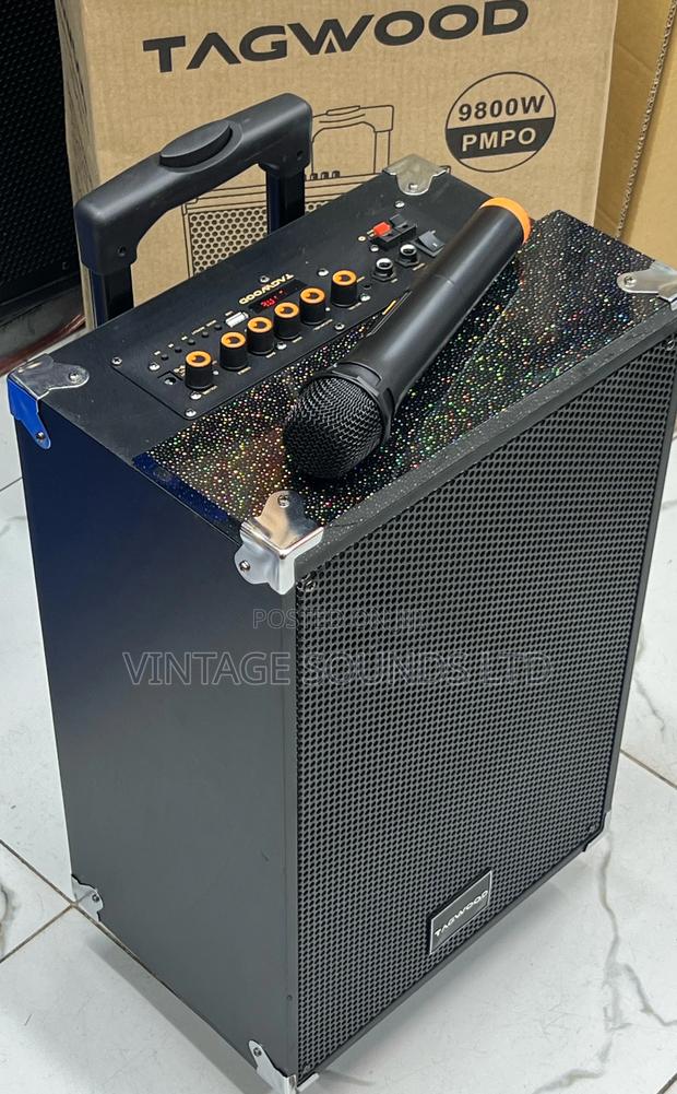 Tagwood LTS-10A Rechargeable Portable Speaker W/ Microphone - thumbnail 2