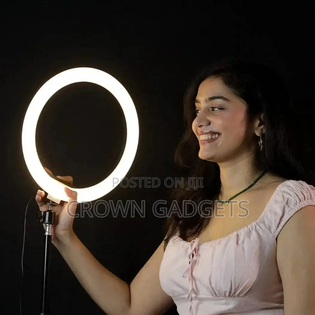 Generic 12 Inch Light + 2M Stand
