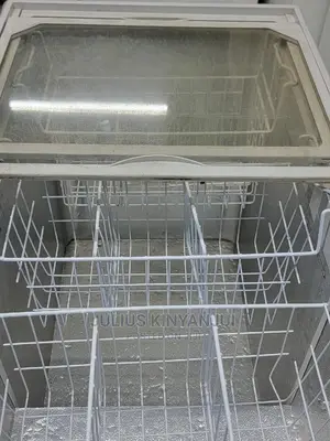 Display Freezer 320L