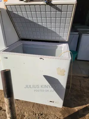 230l Deep Freezer