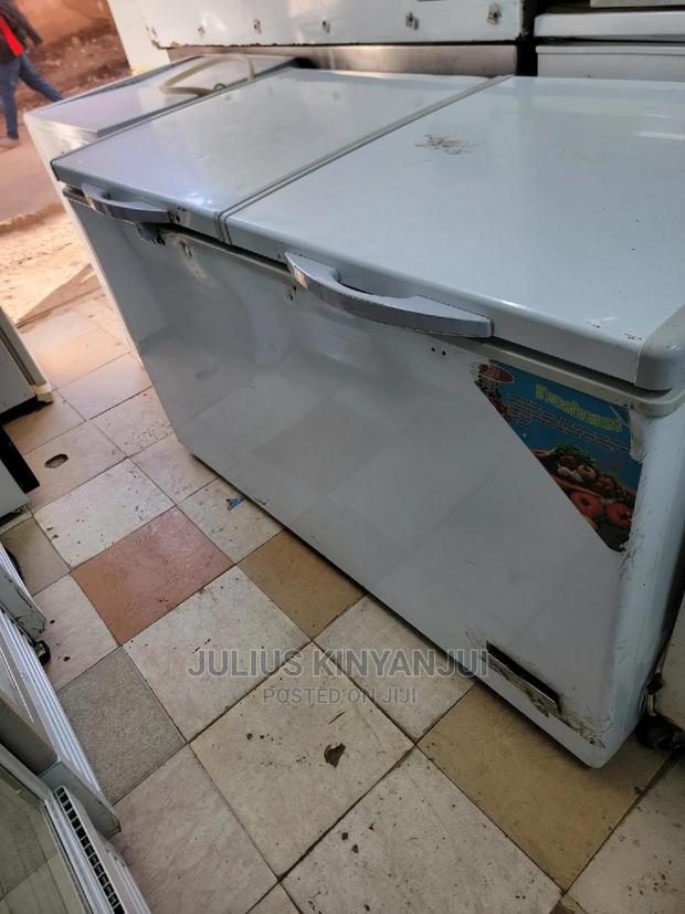 2 Doors Deep Freezer 550L
