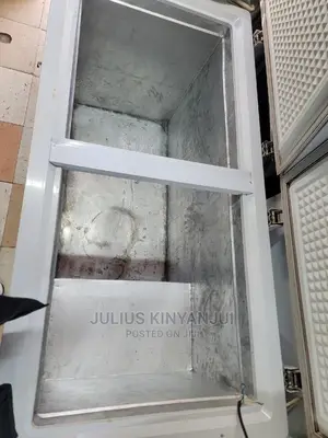 2 Doors Deep Freezer 550L