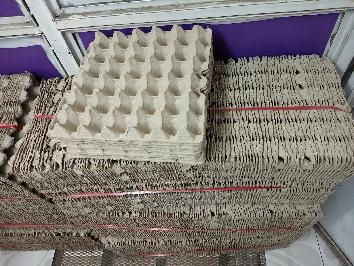 Quality Paper Trays