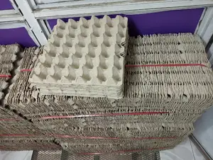 Quality Paper Trays