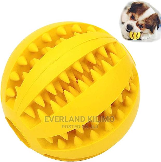 Chew Dog Toy Bone - main view