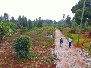 Red Soil Plots in Kimunyu ^CM