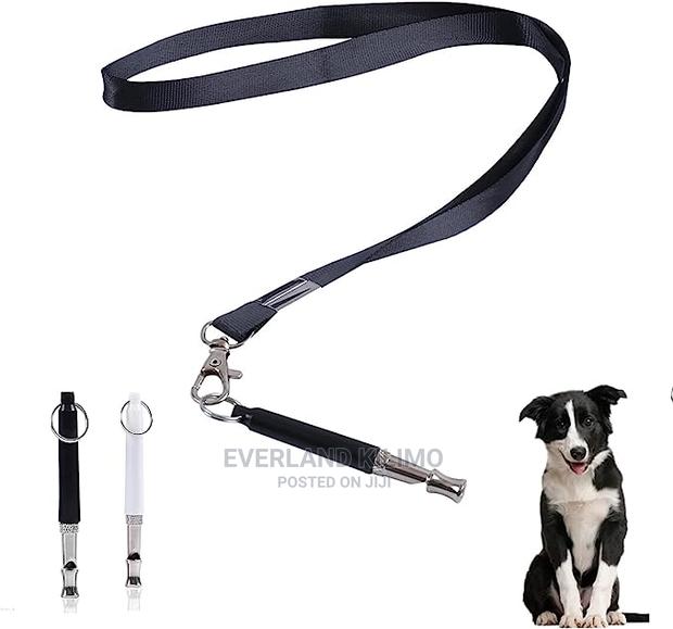 Dog Training Whistle - main view
