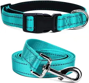 Flat Padded Leash and Collar