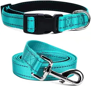 Flat Padded Leash and Collar