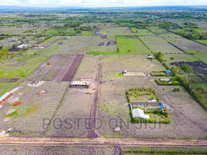 Buy and Build Immediately(Jujafarm)^EK