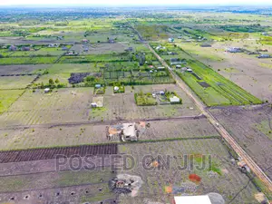 Buy and Build Immediately(Jujafarm)^EK
