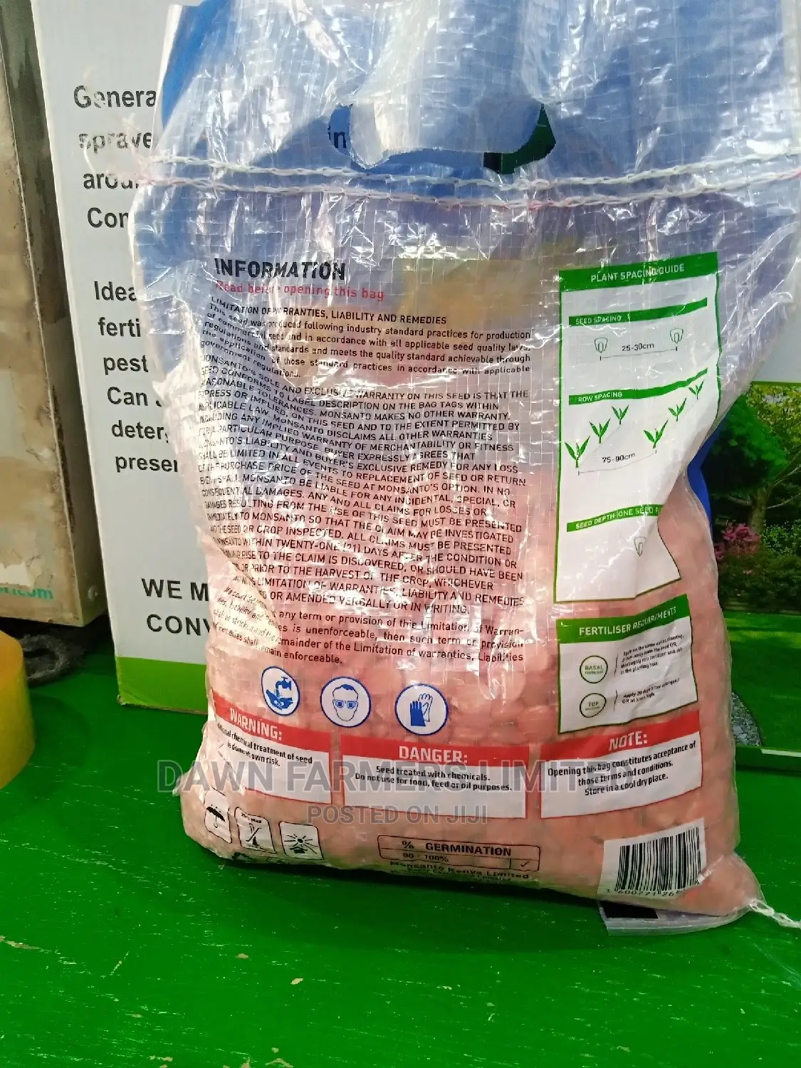 DK 8033 Hybrid Maize
