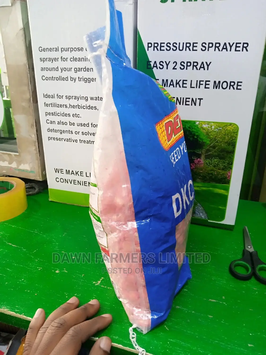 DK 8033 Hybrid Maize