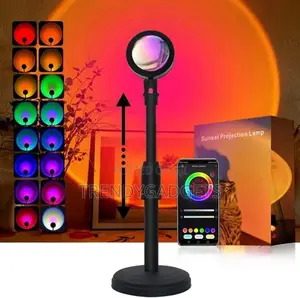 Colors Changing Projector LED Lights Floor Lamp