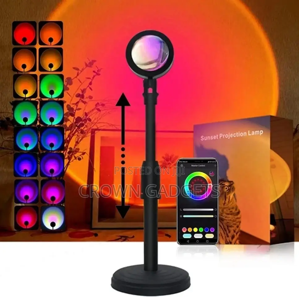 Colors Changing Projector LED Lights Floor Lamp