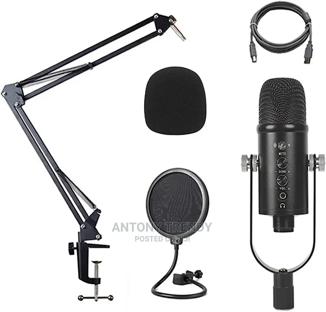 BM-838 Large-Diaphragm USB Condenser Microphone Set