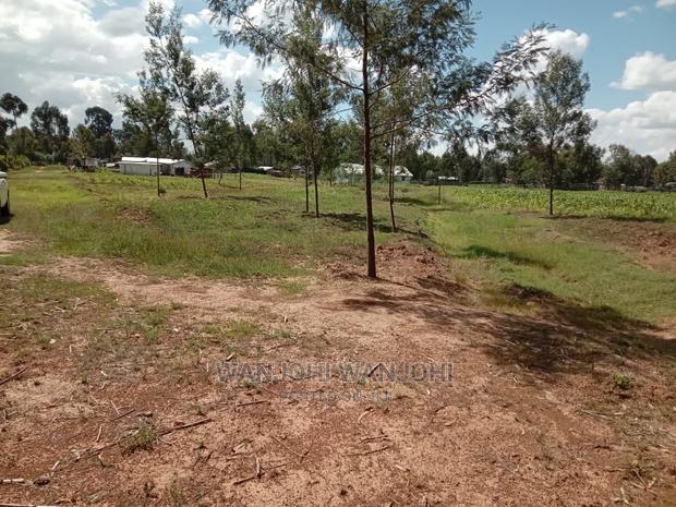 Prime 50x100 Plot - main view